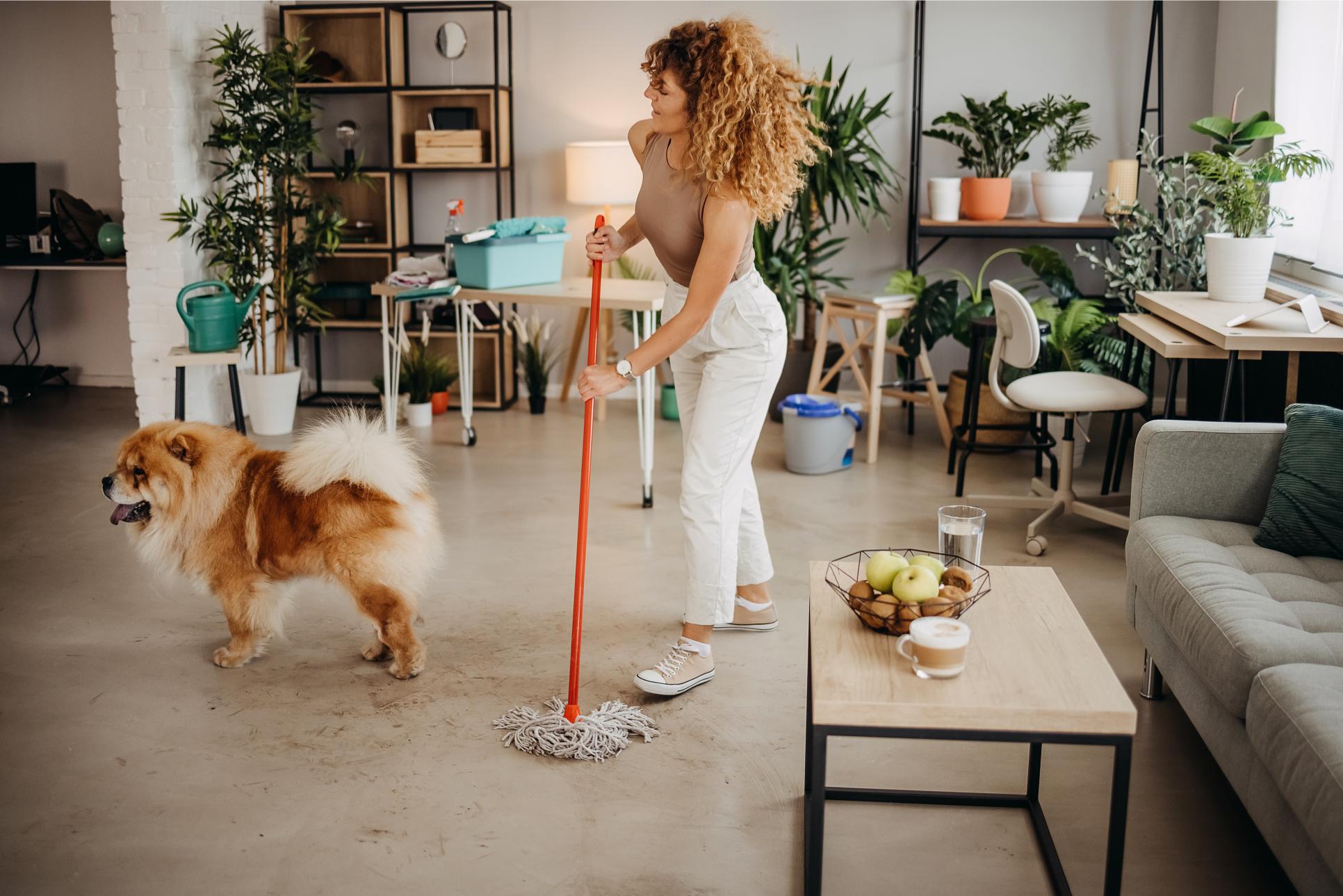 pet spring cleaning.